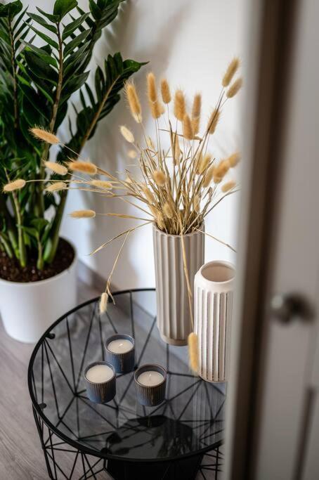 Elegant Fully Equipped Near Centre Apartment